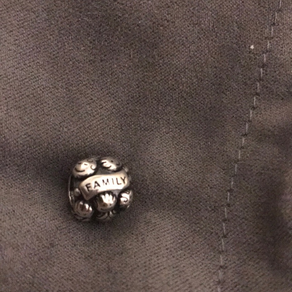Pandora family love charm